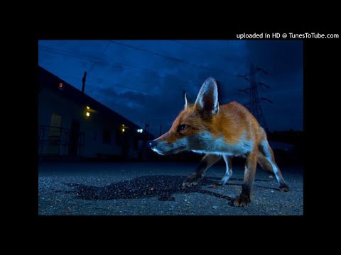 Jun1or One - All In my Head (feat. MIA)