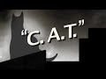 Sandra Boynton's C. A. T.