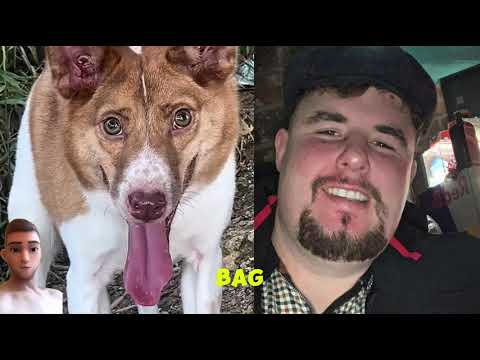 Irish traveller JC McGinley he wants  his stolen dog back