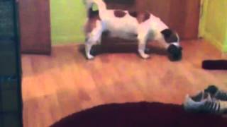 My Vidify Video featuring Scheisse passiert by Böhse Onkelz