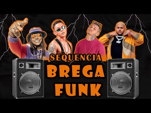 SEQUENCIA BREGA FUNK -  SELEÇÃO DAS MAIS TOCADAS EM 2024