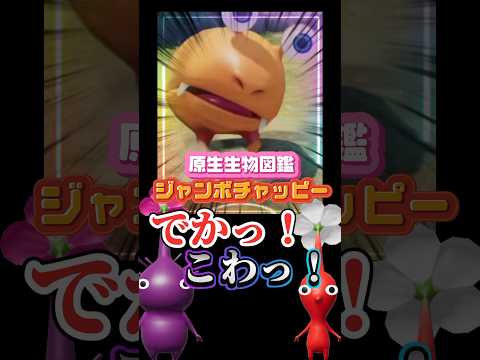 でか！ジャンボチャッピー★#ピクミン #ピクミン4 #pikmin #pikmin4
