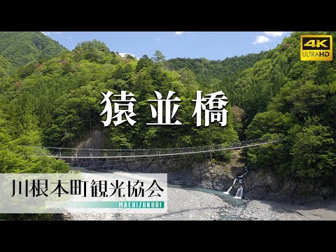 寸又峡「猿並橋」