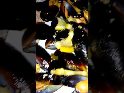 download lagu mp3 mp4 Old Bay Broccoli, download lagu Old Bay Broccoli gratis, unduh video klip Old Bay Broccoli
