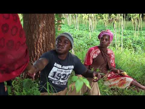 Tizama misitu yenye viumbe vya ajabu dunian vinavyoua hasa binadamu waingiapo