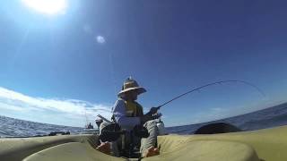 preview picture of video 'Woodgate Golden Trevally Easter 2015 in Hobie'