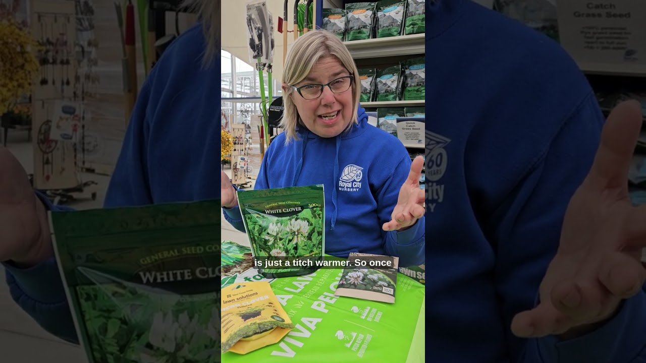 Clover: Your Lawn Replacement