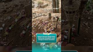 Download lagu THE MYSTERY OF SUTRIMO'S DEATH, SUBORDINATE OF FORMER JAMPIDSUS FEBRI mp3