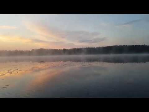 Lydia Kavina - Reflections, for theremin, viola d'amore and loop station