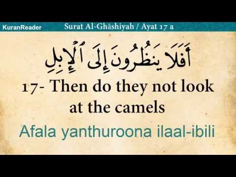 Quran: 88. Surat Al-Ghashiyah (The Overwhelming): Arabic and English translation with Audio HD