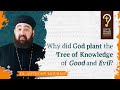 Why Did God Plant The Tree Of Knowledge Of Good And Evil By Fr Anthony Mourad