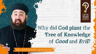 Why did God plant the Tree of Knowledge of Good and Evil? by Fr. Anthony Mourad