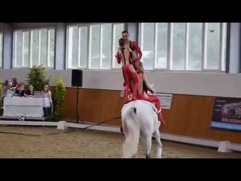 Weser Ems Meisterschaft (WEM) in Lohne 2016 - Kür Team Oldenburg 1 (Sonntag)