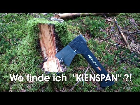 Kienspan finden/ Kienspan ernten / Maya Sticks / Fatwood / Survival Feuer / Überlebensfeuer