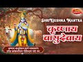 कृष्णाय वासुदेवाय Krishnaya Vasudevaya Krishna Mantra 108 Times Bhak