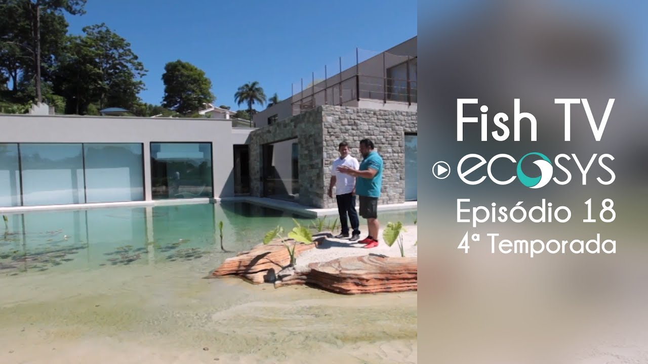 Um mergulho em meio à natureza - 4º temporada - Episódio 18 - Fish TV