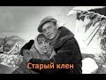 Разбор песни "Старый клен" (из к/ф "Девчата") 