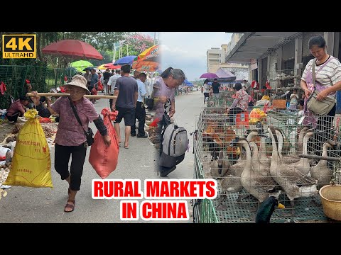 Local Traditional Chinese Markets in Guangdong China | Guangzhou Walk Tour 2025