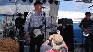 Albert Cummings - Little Bird