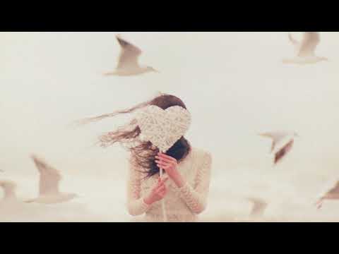 Loneliness - Your Favorite Privacy