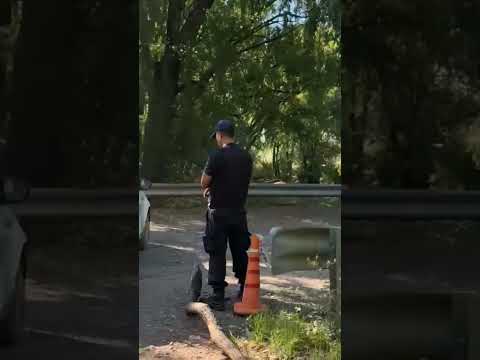 Están tratando de Desalojar a Lof Retamal en Isla Jordan de Cipolletti, Río Negro