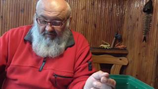 Ловля на тирольскую палочку без поплавка
