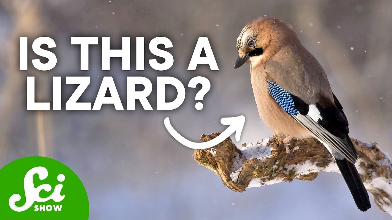 What is Taxonomy and Why is it So Complicated?