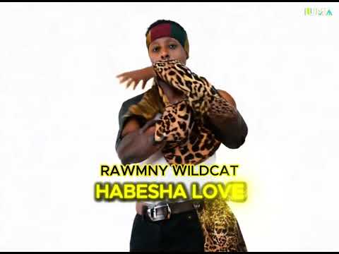 Rawmny Wildcat - Habesha Love