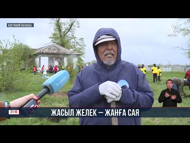 Жасыл желек - жанға сая