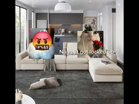 Jamal is cooked 🍳 #youtube #butifyoucloseyoureyes #funny #cat