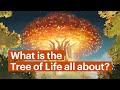 We Studied the Tree of Life in the Bible (Here’s What We Found)
