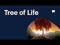 We Studied The Tree Of Life In The Bible Here S What We Found