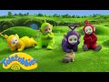 Teletubbies 看看所有的小兔子 儿童节目