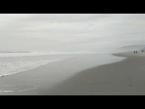 Tom Ryan Waves on the Beach at Coho Oceanfront Lodge