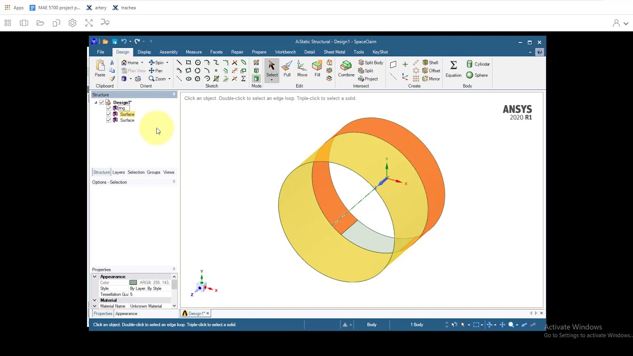 Structural Analysis of a Trachea Using Ansys Mechanical — Geometry