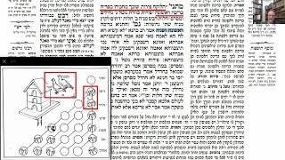 דף יומי מסכת בבא בתרא דף פ Daf yomi Masechet Bava Batra page 80  ע"י יוני גוטמן (שיעורי הדף היומי ב-20 דקות - מועבר ע"י ר' יוני גוטמן - לעילוי נשמת אביו ר' אלימלך צבי (צביקה) גוטמן ז"ל) - התמונה מוצגת ישירות מתוך אתר האינטרנט יוטיוב. זכויות היוצרים בתמונה שייכות ליוצרה. קישור קרדיט למקור התוכן נמצא בתוך דף הסרטון