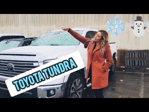 TUNDRA GOOD, NICE AND CHEAP AT THE AUCTION