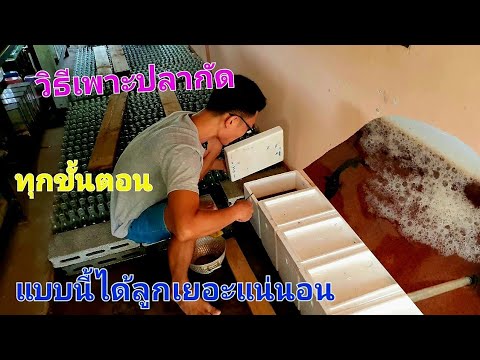 ขั้นตอน
