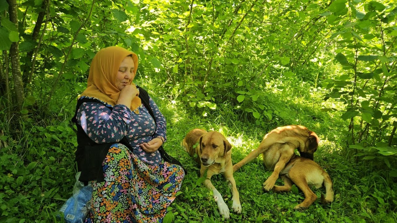 ‼️EVİME SIĞAMADIM‼️
