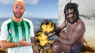 Exotic SEA URCHIN and CURRY OCTOPUS in Dominica!
