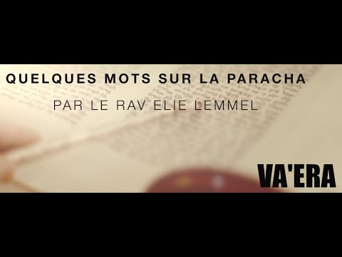 Une formidable leçon de management ?! Rav Élie Lemmel - Parasha Vaera