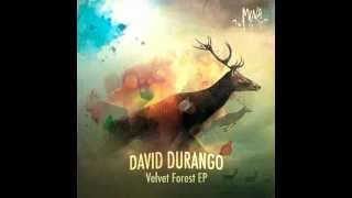 David Durango - Velvet Forest