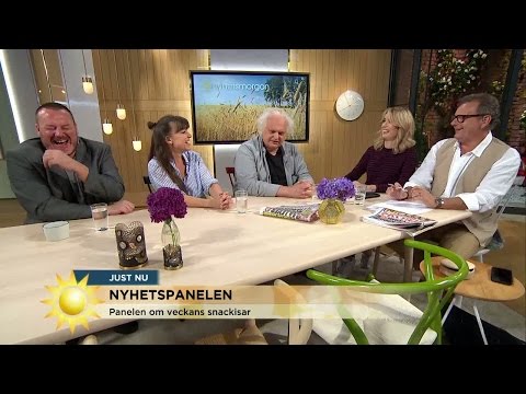Nyhetspanelen om pokémonjakten i riksdagen - Nyhetsmorgon (TV4)