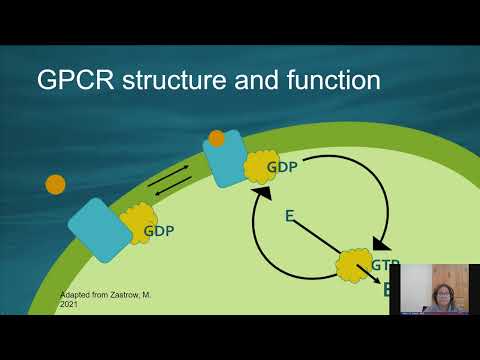 Current Use of GPCR Pharmacogenomics in Clinical Practice