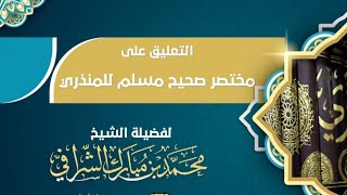 التعليق على مختصر صحيح مسلم  ( ٢٤ ) image