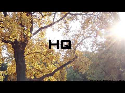 Spacekees - Bitch! feat. Wudstik (HQ)