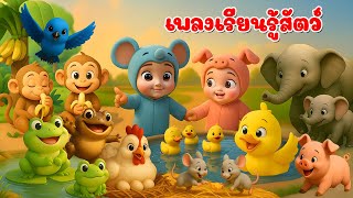 เพลงปรบมือ เปาะ เปาะ แปะ แปะ | ปรบมือเรียนรู้สัตว์ 19 ตัว เพลงเด็กคิดส์มีซอง 2568