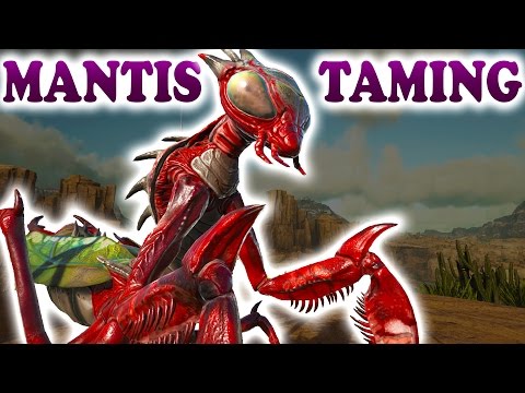 ARK - HOW TO TAME A MANTIS ARK - Survival Evolved Scorched Earth Mantis Taming Gameplay