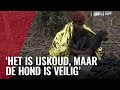 AT5 30 jaar: Caribische topsporter redt hond uit het ijs
