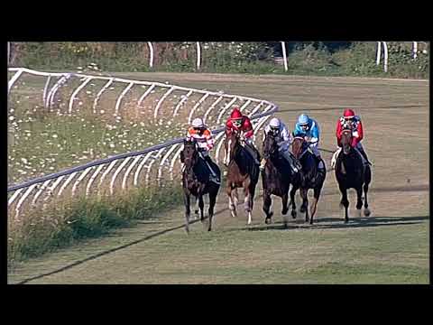 Galoppo 08/07/2020 - 3ª corsa